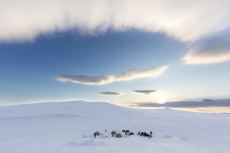 Snowmobiles, snow scooters at Arctic expedition camp with tents protected by tripwire fence against