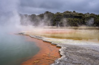 The champagne pool in the Waiotapu geothermal area (Wai-O-Tapu) . orange and yellow. Waiotapu,