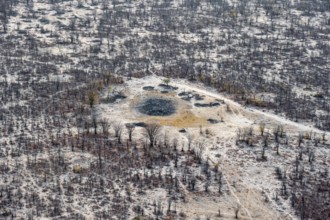 Structure and pattern, trees in the dry season, arid landscape, aerial view of the Okavango Delta,