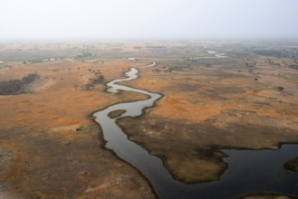Wetland, landscape, aerial view of the Okavango Delta, near Maun, Okavango Delta, Botswana