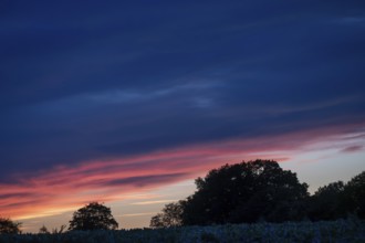 Red blue evening sky, Othenstorf, Mecklenburg-Western Pomerania, Germany