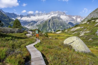 Mountaineers on wooden plank trail through mountain moor, in front of picturesque mountain scenery,