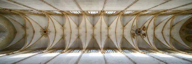 Interior photo, vaulted ceiling, church ceiling, central nave, interior view, Cathedral of Our Lady