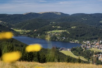 Titisee, Black Forest, Southern Black Forest, Baden-Württemberg, Germany