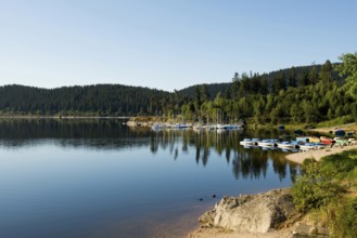 Morning atmosphere with colorful paddle boats and rowing boats, Schluchsee, Black Forest, Southern