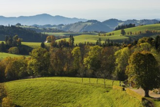 Hilly landscape in autumn, St Märgen, Black Forest, Southern Black Forest, Baden-Württemberg,
