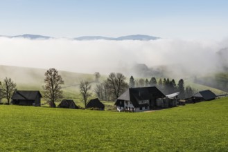 Fog and sun in autumn, St Peter, Black Forest, Southern Black Forest, Baden-Württemberg, Germany