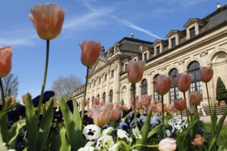 Castle Park, Fulda City Palace, Hesse, Germany