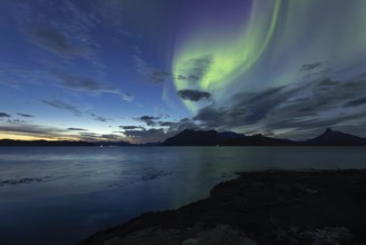 Northern lights at dawn over Sørfolda Fjord near Kjerringøy between Bodø and Sørfold in Norway