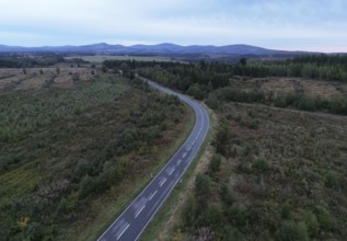 Landstraße, Straße im Harz bei Tanne, Saxony-Anhalt, Germany