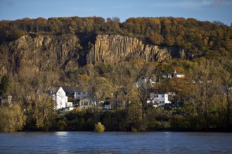 Rock wall with exposed basalt layers from the quarry, Kuckstein am Berg Ennert with the Rhine,
