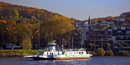 The Konrad Adenauer Rhine ferries on the Rhine from Bad Godesberg to Königswinter-Niederdollendorf,