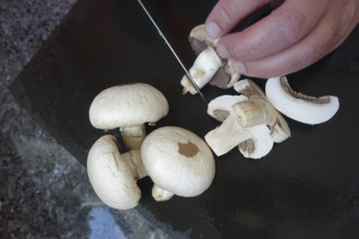 Southern German cuisine, preparing mushrooms, raw mushrooms, cutting, kitchen knife, men's hands,