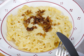 Swabian cuisine, cheese spaetzle, Swabian spaetzle baked with cheese, onion melt, hand-scraped