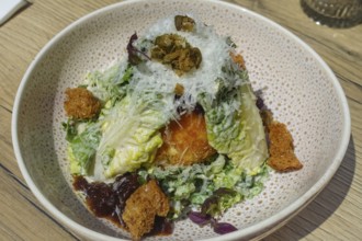 Baked burrata served on plate, breaded mozzarella, starter, vegetarian, salad hearts, green lettuce