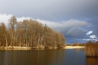 Spring atmosphere with cloudy skies and sunshine over a quiet river, Peenetal nature park Park,