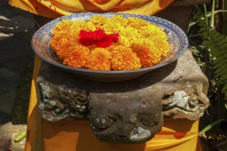 Flowers arranged for beautiful offerings, Bali, Indonesia