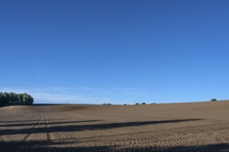 Ordered, large arable area, Mecklenburg-Western Pomerania, Germany