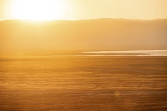 View of savanna landscape at sunrise, atmospheric morning light, view of Ngorongoro Crater, back
