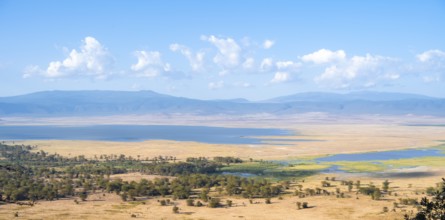 View of savanna landscape and lakes in the Ngorongoro Crater from the crater rim in the evening