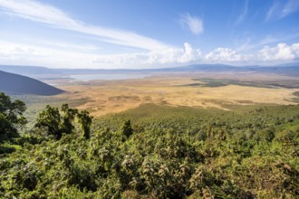 View of Ngorongoro Crater, Crater Viewpoint, Forest and Savanna Landscape, Ngorongoro Conservation