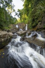 Derema Waterfall flows through thick vegetation, tropical rainforest in Amani Nature Forest