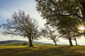 Weather forecast in autumn, sunset, Schauinsland, Freiburg im Breisgau, Black Forest,