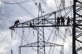 Work on a 380 kV high-voltage overhead line, new construction, along the A57 motorway, near