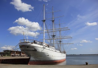 Gorch Fock, a sailing school ship rigged as a bark in the harbor, Stralsund, Vorpommern-Rügen