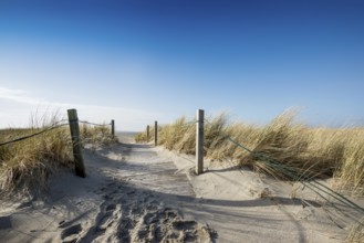 Trail in the dunes and blue sky in winter, Spiekeroog, East Frisian Islands, Lower Saxony, Germany