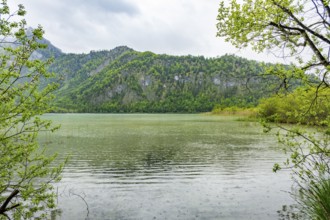 Landscape of Lake Offensee on a rainy day in spring, Salzkammergut, Austria