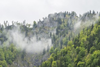 View into the mountains next to Lake Offensee on a rainy day in spring, Salzkammergut, Austria,