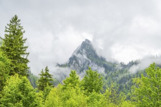 View into the mountains next to Lake Offensee on a rainy day in spring, Salzkammergut, Austria,