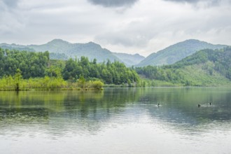 Landscape of Lake Almsee on a rainy day in spring, Salzkammergut, Austria