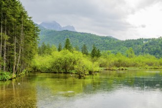 Landscape of Lake Almsee on a rainy day in spring, Salzkammergut, Austria