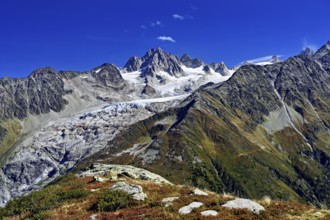 Glacier du Tour behind Aiguilles du Tour, Chamonix-Mont-Blanc, Haute-Savoie, France