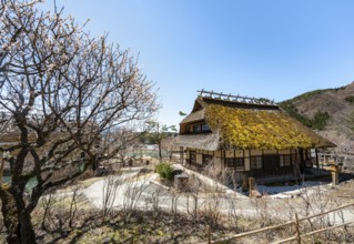 Iyashinosato open-air museum, old Japanese village with traditional houses, Fujikawaguchiko, Saiko,