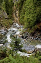 Diosaz mountain river in the gorge, Gorges de la Diosaz, Les Houches, Chamonix-Mont-Blanc,