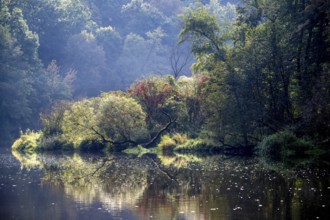 Autumn landscape, trees reflected in water, Thaya River, Thaya Valley National Park, Lower Austria,