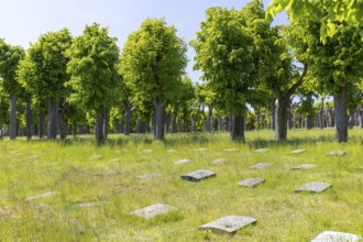 Tombstones on the Gottesacker, the historic cemetery of the Herrnhuter Brüdergemeinde, Herrnhut,