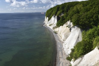 Chalk cliffs, chalk coast on the island of Rügen, Jasmund National Park, Mecklenburg-Western