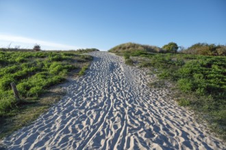 Sandweg zum Ostseestrand, Ahrenshoop, Darß, Mecklenburg-Western Pomerania, Germany
