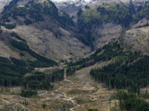 Logging, clearing, clearcut, timber industry, logging, mountain landscape, aerial view, autumn,