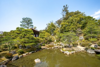 Japanese Garden with Pond, North Garden, Kitaniwa or Hokutei Garden, Ninna-ji Goths, Buddhist