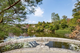 Bridge over Kyoyochi Pond in Japanese Garden, blooming cherry trees, Ryoan-ji, Zen Buddhist temple