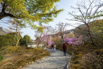 Path between blooming bushes in spring, Sogenchi Teien Japanese Garden, Tenryu-ji, Zen Buddhist