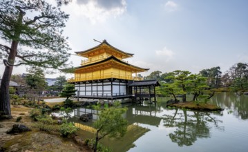 Golden Pavilion reflected in pond, Japanese garden, Golden Pavilion Temple, Kinkaku-ji reliquary,