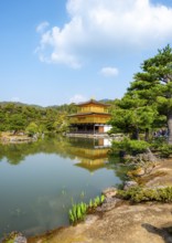 Golden Pavilion reflected in pond, Japanese garden, Golden Pavilion Temple, Kinkaku-ji reliquary,