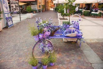 Menaggio, beautiful tourist town on the western shore of Lake Como, market with lavender products,