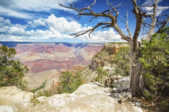 Beautiful landscape of the grand canyon, arizona